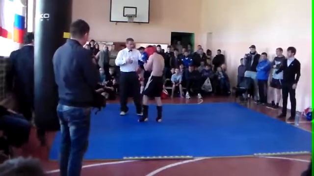 смешаные единоборства