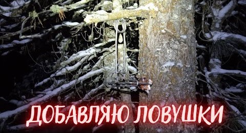 ОХОТА НА СОБОЛЯ. Серия № 6. Добавляю ловушки / SABLE HUNTING. Series No. 6. Adding traps смотреть онлайн