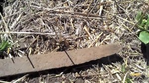 Старинный кованый предмет, похожий на меч.