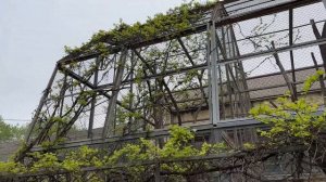 Воронеж - Ростов на Дону. Ростовский зоопарк. Не приняли документы на испанскую визу.