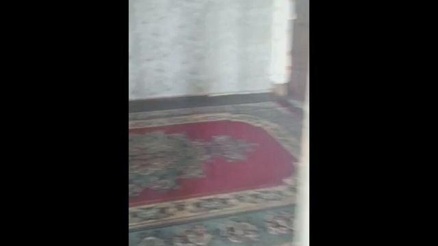 Дом в Сагареджо Кахетия Грузия смотреть онлайн