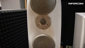 Домашняя акустика Morel