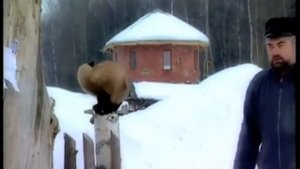 Вика ЦЫГАНОВА & Михаил КРУГ   ПОСТОЙ, ДУША