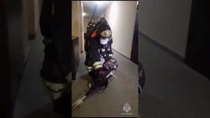 В Белгороде прошли пожарно-тактические учения