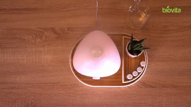 Umidificator de aer Biovita Bianco, 2L смотреть онлайн