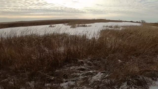 ЛУЧШАЯ ОХОТА на ЗАЙЦА ПО ПЕРВОМУ СНЕГУ ! ДЕКАБРЬ 2022 смотреть онлайн