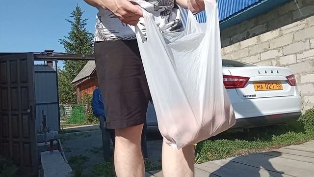 КУРЫ ДОМИНАНТЫ НЕСУТСЯ КАК ИЗ ПУЛЕМЁТА смотреть онлайн