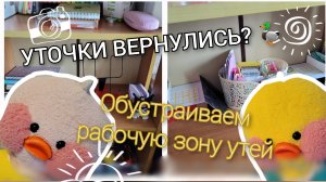 ОБУСТРАИВАЕМ РАБОЧИЙ СТОЛ У УТОЧКИ🦆Милка и Роза/Таня ди ай вай