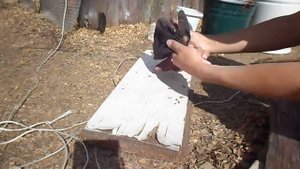 ПРИКОРНЕВАЯ ГНИЛЬ У ОГУРЦОВ КАК ИЗБАВИТЬСЯ.