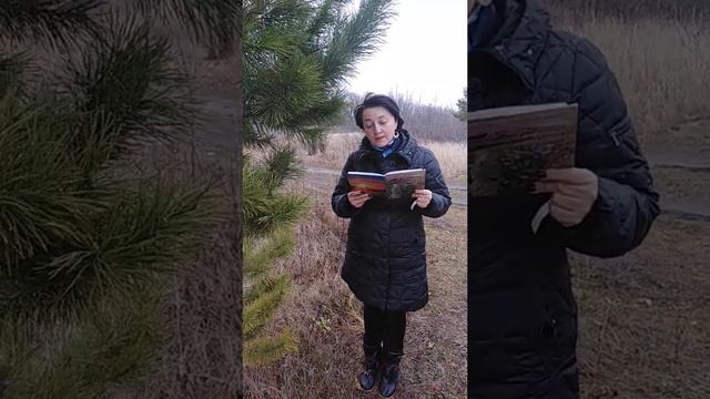 Стихи про осень/ Стихи о природе/Осенний бродяга смотреть онлайн