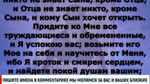 Включи прямо сейчас!Прп  Максима Исповедника 662;  Евангелие дня 3 февраля  2024 года