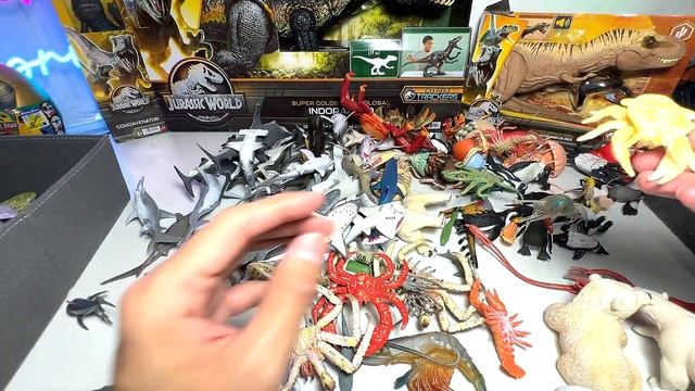 Sharks VS Polar Bears Collection, Great White Shark, Whaleshark, Megalodon, Frilled Shark, Shark Ra смотреть онлайн