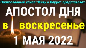 Евангелие дня. 1 мая 2022. Антипасха. Деяния святых апостолов