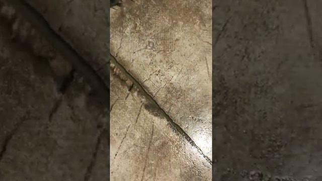 Видеообзор - плитка Ringwood Brown от NEW TREND смотреть онлайн