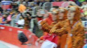 Олимпийские игры-2014. Коньки. Командная гонка, мужчины