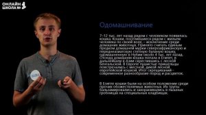 Человек и млекопитающие. Видеоурок 34. Биология 7 класс