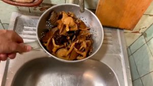 ОПАСНЫЙ ГРИБНОЙ СУП ИЗ Б\У ПРОДУКТОВ | БАЗА КОРМИТ