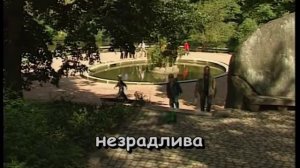 ПІСНЯ ПРО РУШНИК (РІДНА МАТИ МОЯ) — караоке Українська народна пісня Ukrainian folk song karaoke