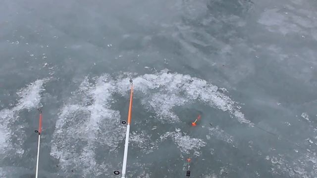 Одесса.18 февраля 2017 года.Белгород-Днестровский лиман.Рыбалка на карася. смотреть онлайн