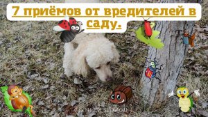 7 приемов от вредителей в саду.🧐🍂💐