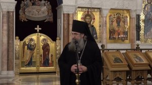 Беседа архимандрита Мелхиседека (Артюхина) с молодёжью о начале Нового года со смыслом и радостью.