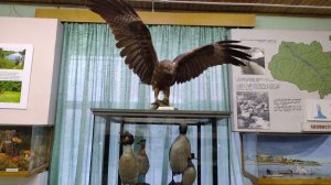 Колпашево, Музей, 1 часть