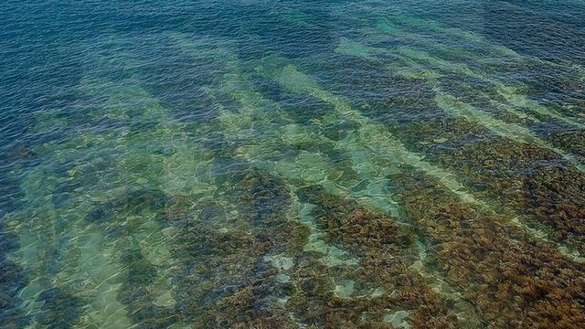 Диета 5П. Десерты. Фрукты и ягоды. Агар. Творожные котлетки.Желе.Запеканка.Крем-суфле "Блаженство"