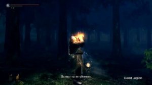 ГАЙД Ковенант ЛЕСНЫЕ ОХОТНИКИ / КОЛЬЦО ИЗ ТЕМНОГО ДЕРЕВА / МУРАКУМО - [Dark Souls Альвина]