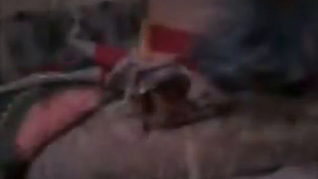 Monster High проклятие 2 СРАШНЫЙ СОН смотреть онлайн