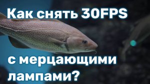 Как снять 30FPS с мерцающими лампами?