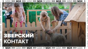 Зверский контакт: "Специальный репортаж" - Москва 24