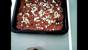 Гречка с Курицей в Духовке.Как Приготовить Гречку с Курицей в Духовке.Сытный Обед для Всей Семьи