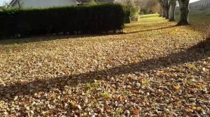 Влог: Классная Юбка. Любимый Аромат. НЕТ кАтЫшКаМ на одежде. Svetlana ФРАНЦИЯ