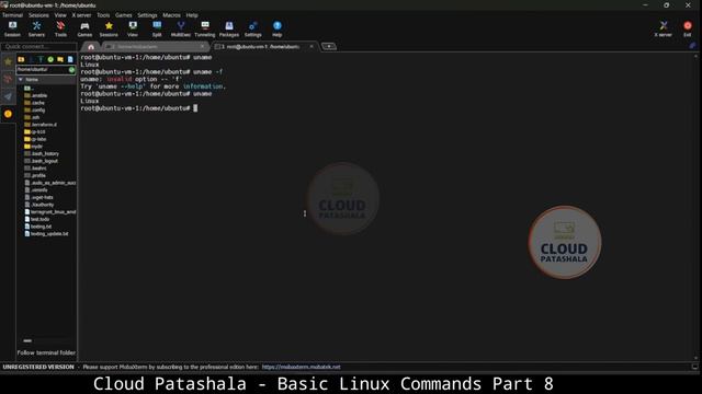 Complete Linux Master Class: 40+ Commands, Labs, and Expertise in 3+ Hours