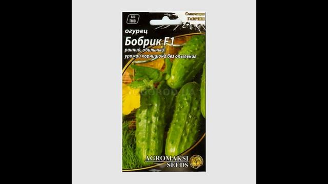 Обзор сорта огурцов "Бобрик" (характеристики, свойства, фото) смотреть онлайн
