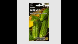 Обзор сорта огурцов "Бобрик" (характеристики, свойства, фото)