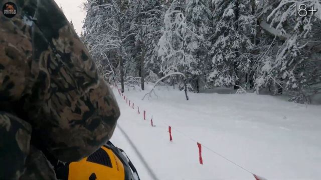 Охота на ВОЛКА. В окладе 3 матёрых. смотреть онлайн