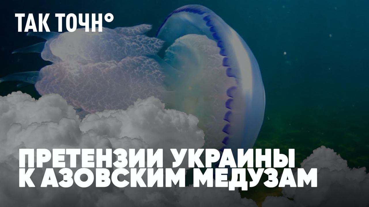 Претензии Украины к медузам Азова | Химера бабьего лета | Прогноз погоды на День Москвы | Так точн°