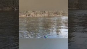 Северский Донец. Тест-обзор фидера KAIDA impulse.