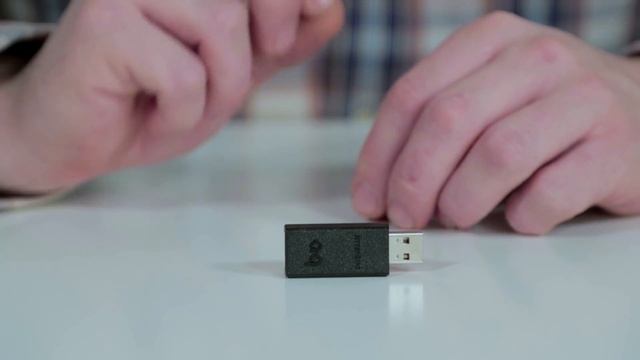 AudioQuest JitterBug USB Digital Noise Filter – Audio Advisor