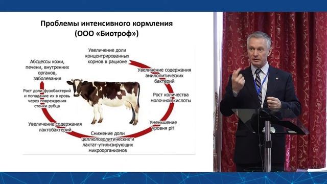 Развитие финансовых отношений в период становления цифровой экономики смотреть онлайн