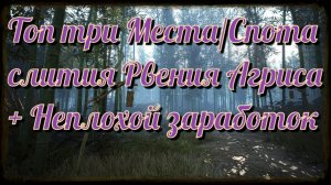 Black Desert / BD: Топ 3 Места/Спота слития Рвения Агриса + Неплохой заработок
