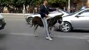 На осле по городу
