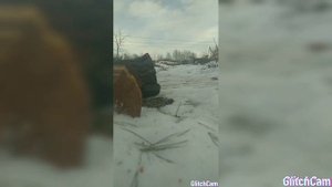 hatsan 70? , после доработок , стрильба по мишеням