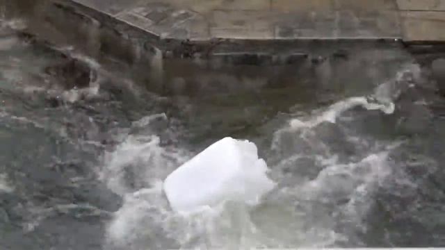 Прикольное видео про медведя в зоопарки смотреть онлайн