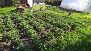 Дом в деревне. Деревенский быт.