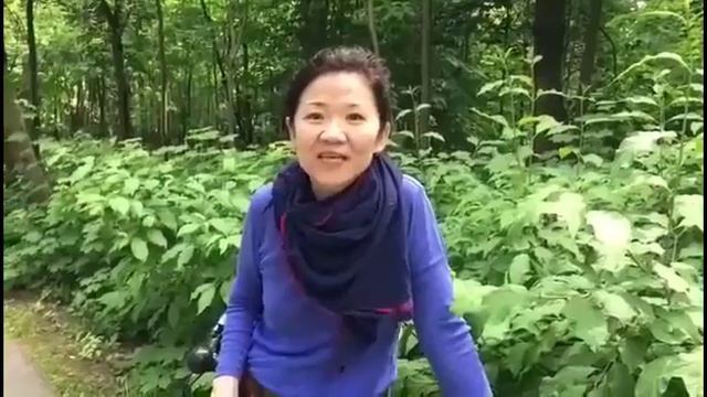 Кальпе ТВ и ДР Леши 2017 г. смотреть онлайн