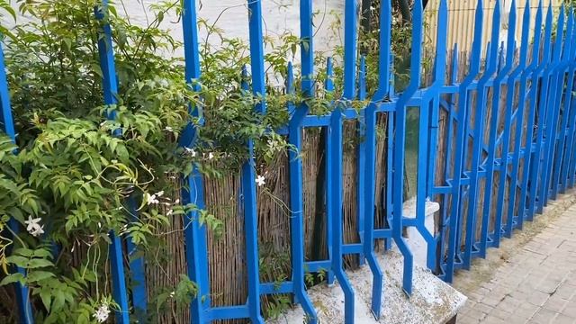 Необычный дизайн ворот и калитки. смотреть онлайн