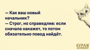 Аморальные мемы: работа и начальство, график 5/2 и отпуск #анекдоты #юмор