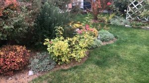 Правила обрезки роз осенью.Нужно ли убирать листву?